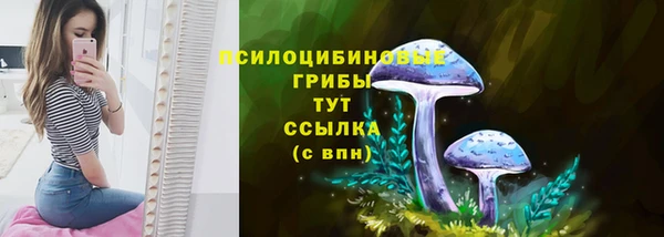 Альфа ПВП Переславль-Залесский