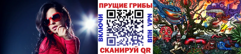 купить  цена  кракен ТОР  Галлюциногенные грибы Psilocybe  Агрыз 