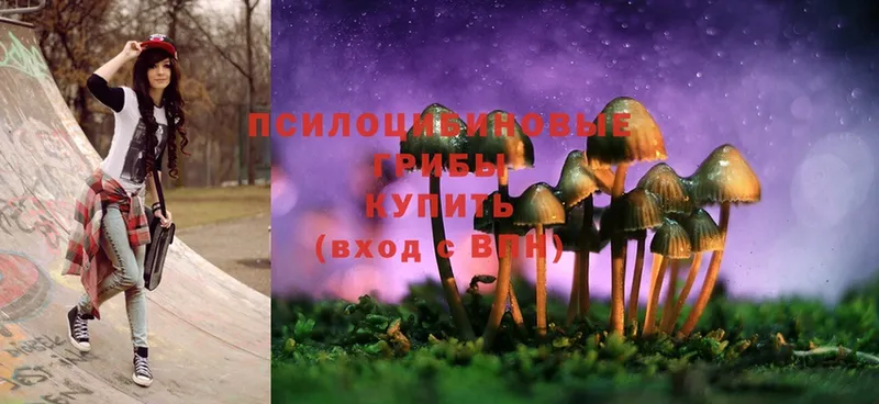Псилоцибиновые грибы MAGIC MUSHROOMS  где купить   Агрыз 